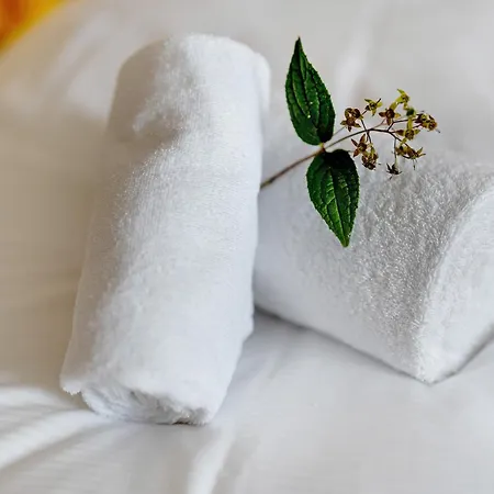 Km Style 6 アパート フライブルク