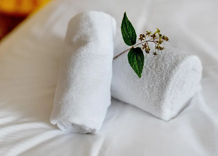 Km Style 6 Appartement Freiburg im Breisgau